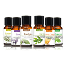 Load image into Gallery viewer, 100% PURE &amp; NATURAL ESSENTIAL OILS