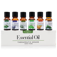 Load image into Gallery viewer, 100% PURE &amp; NATURAL ESSENTIAL OILS